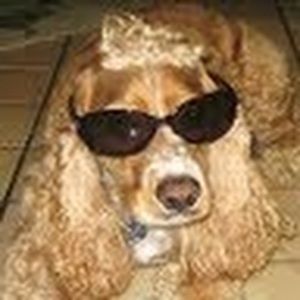 Meet your Posher, Kristin